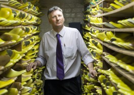 Lightning Bolt Studio